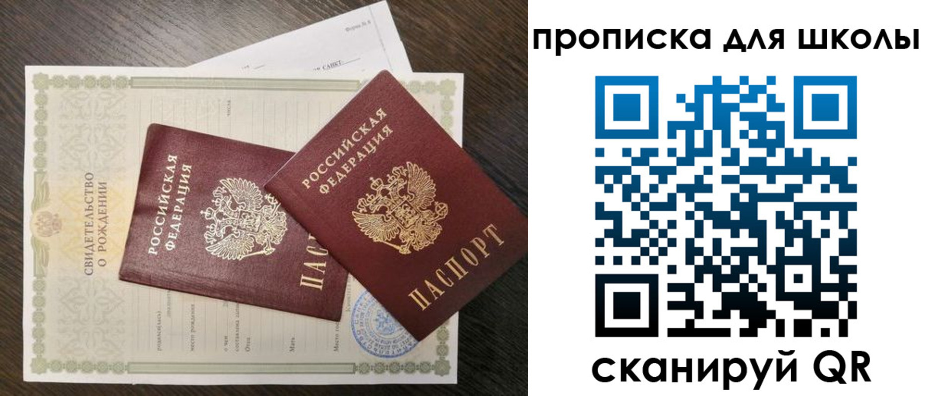 прописка гарантия в Долгопрудном